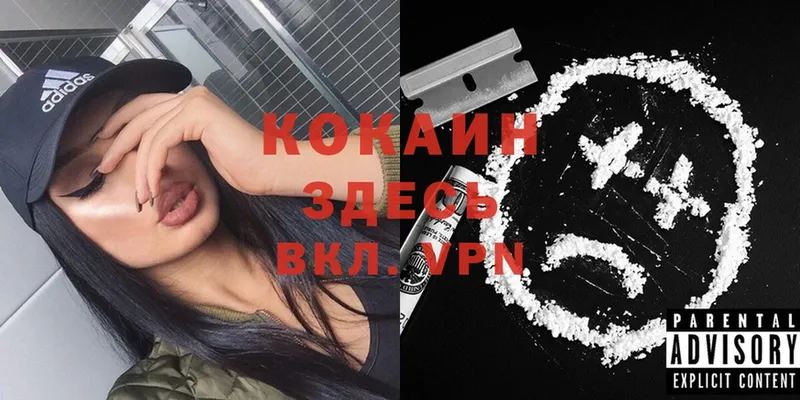 цены   Барыш  Cocaine Эквадор 